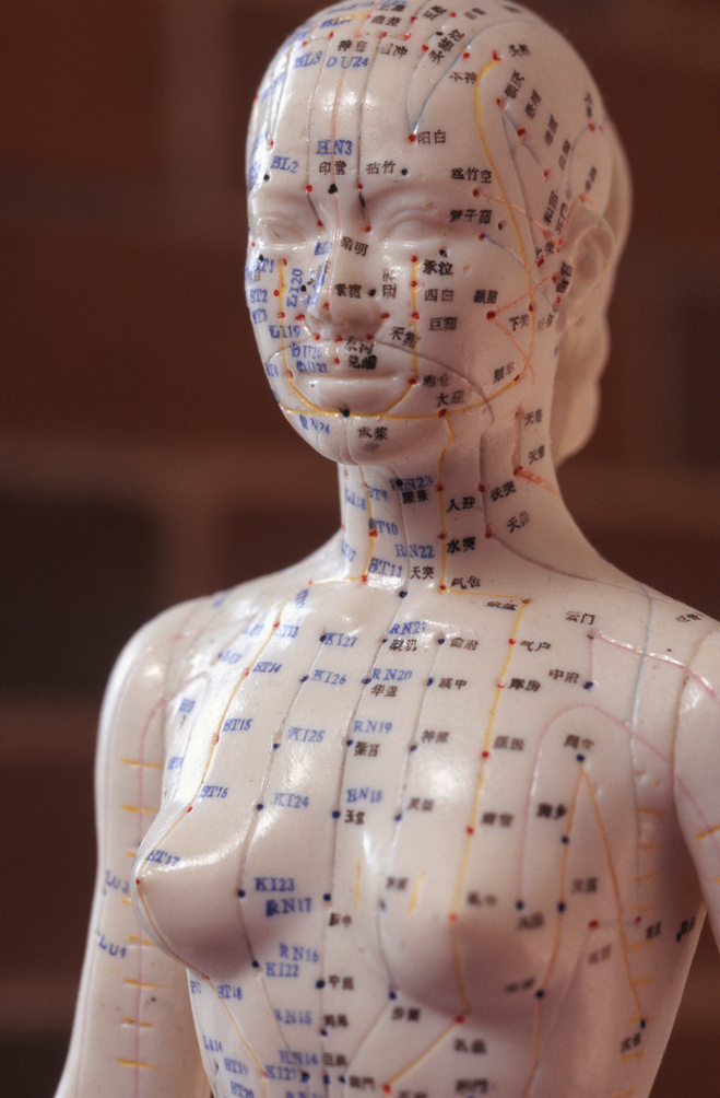 Female acupuncture model